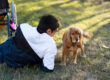 Featured Image Down Syndrome Dog