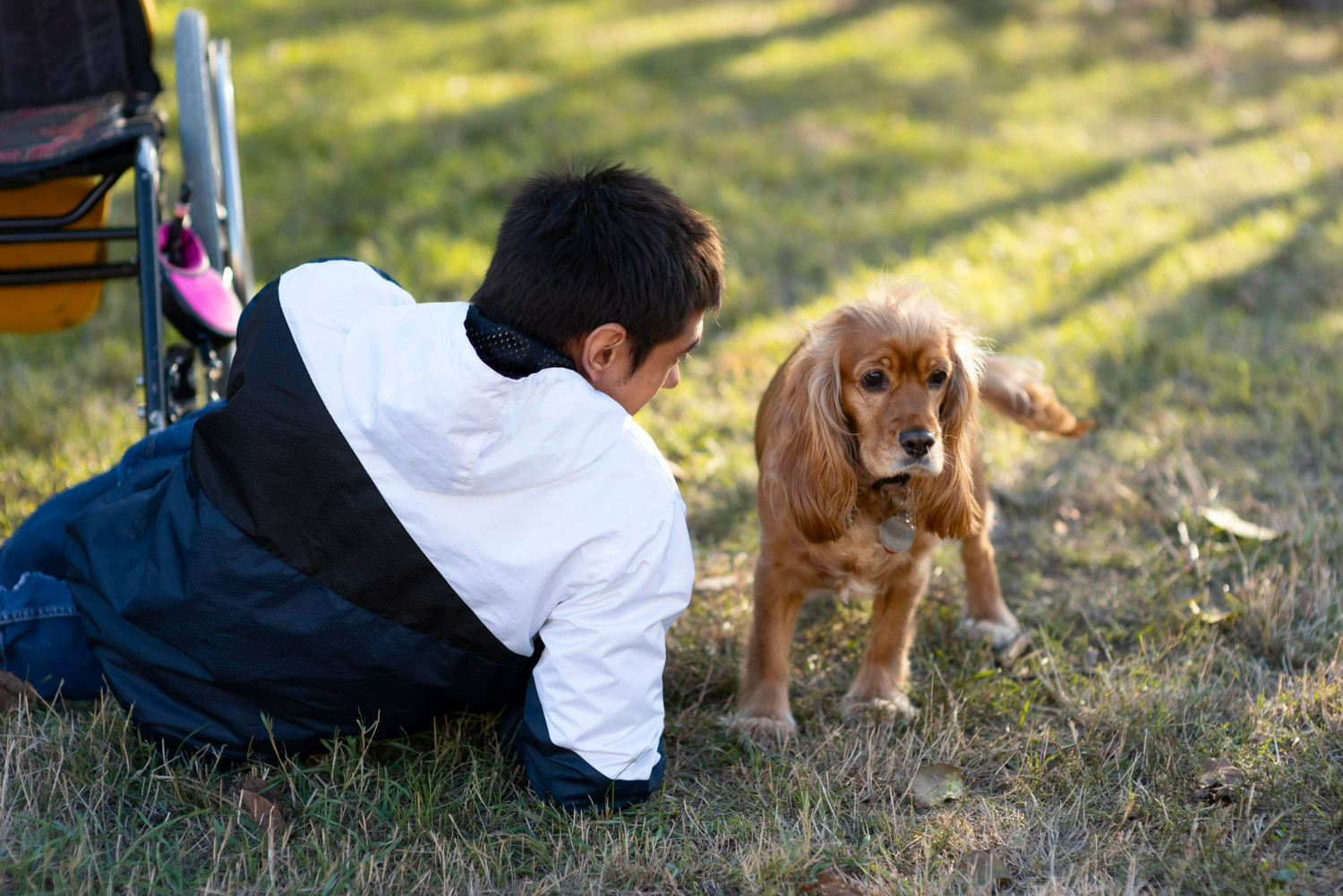 Featured Image Down Syndrome Dog