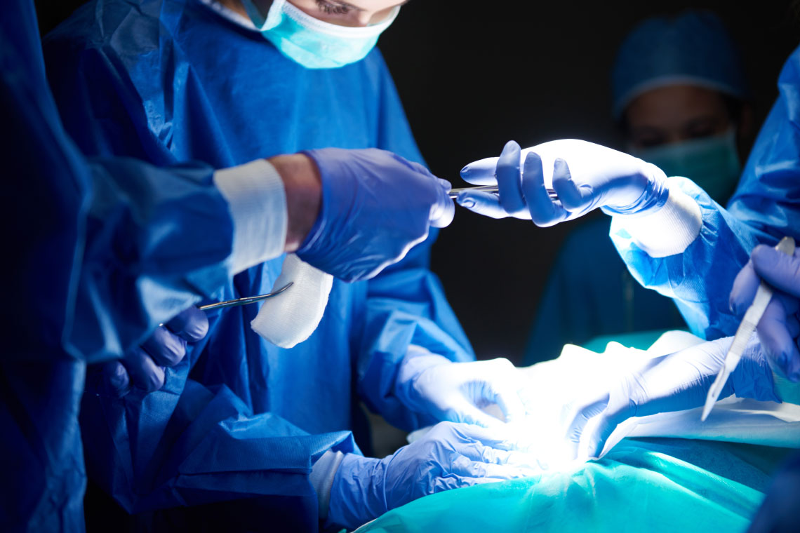 pet_surgery_services_4