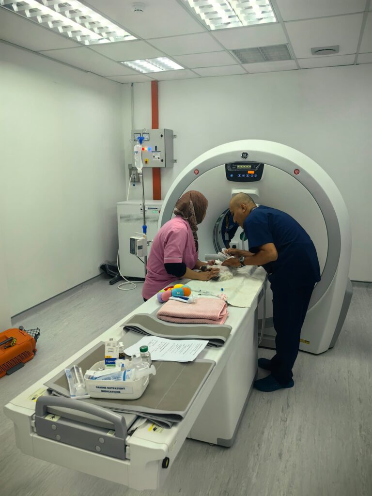 Veterinarians preparing a pet for a CT scan