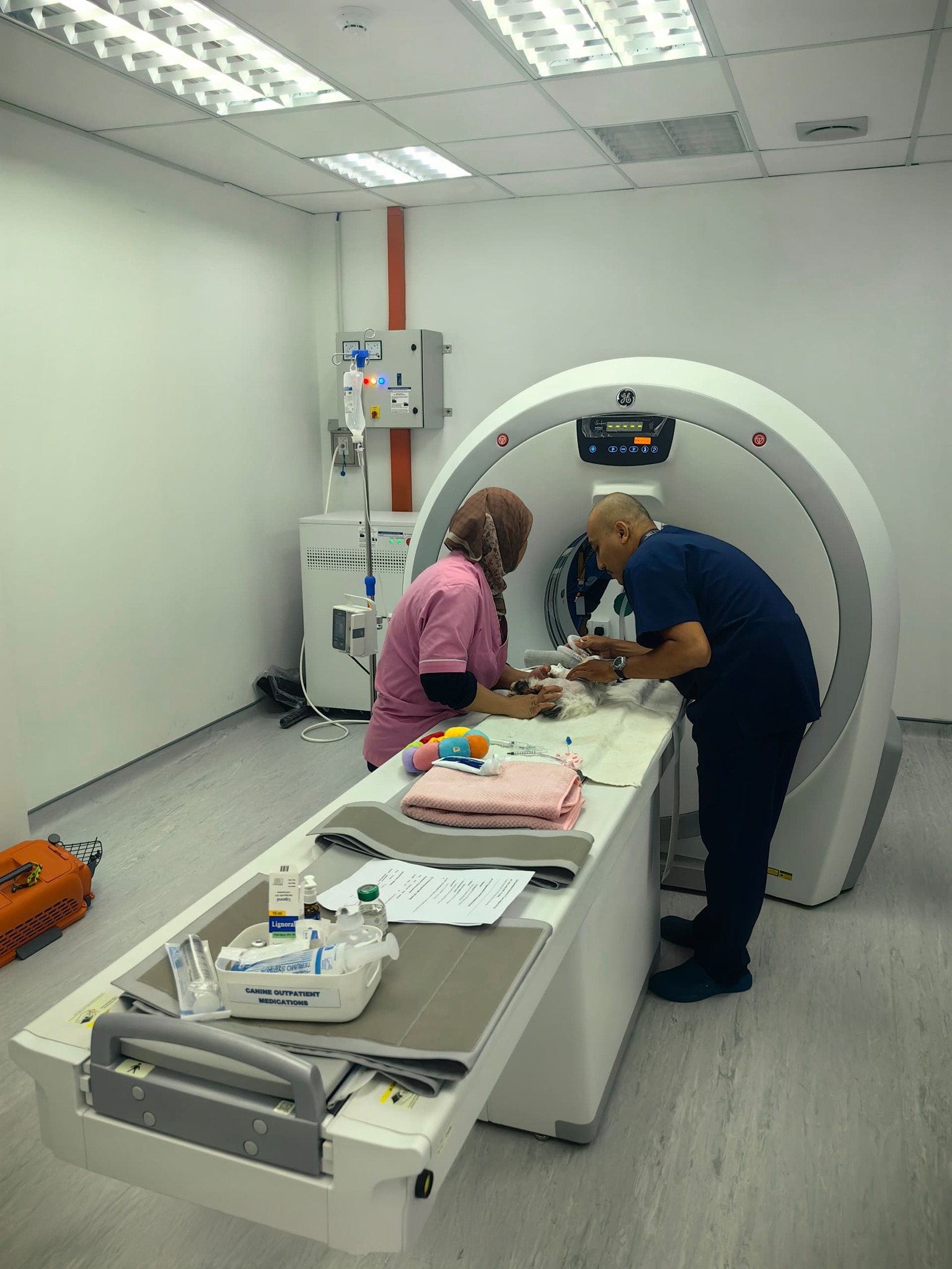 Pet CT Scan | Advanced Veterinary Imaging in Ampang
