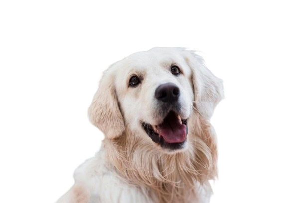 god smiling picture