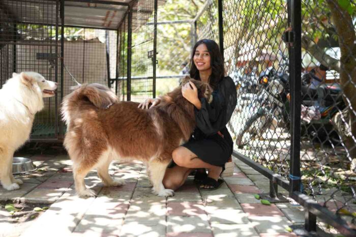 A woman interacts with two fluffy dogs in an outdoor kennel