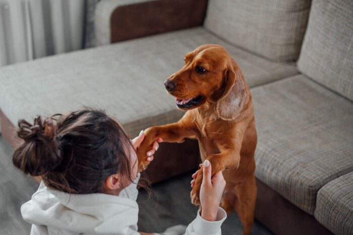 Woman and dog bonding indoors, showing affection and playfulness
