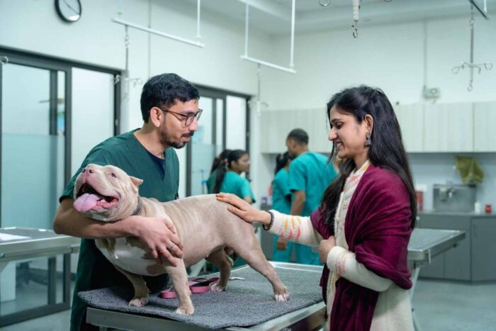 A vet examines a dog with its owner at a veterinary clinic